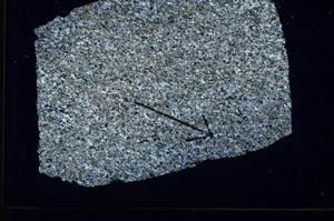 Cross Polarized, S88745