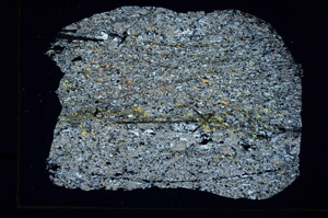 Cross Polarized, S88748