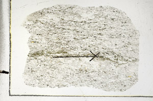 Plane Polarized, S88748