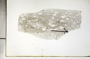 Plane Polarized, S88749