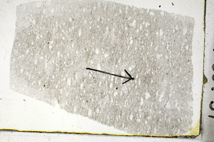Plane Polarized, S88751