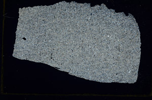 Cross Polarized, S88752