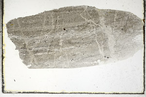 Plane Polarized, S88753