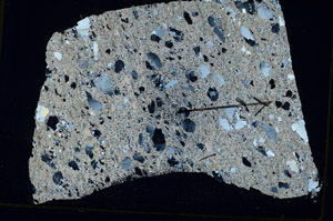 Cross Polarized, S88754