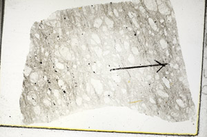 Plane Polarized, S88754