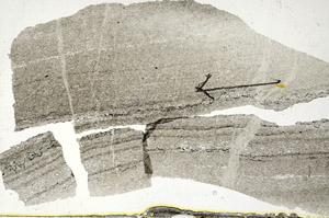 Plane Polarized, S88755