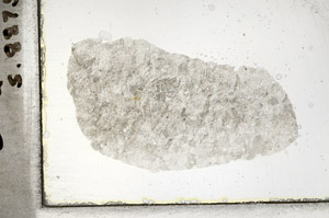 Plane Polarized, S88758