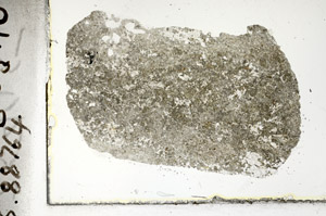 Plane Polarized, S88764