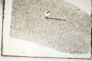 Plane Polarized, S88765