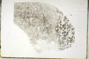 Plane Polarized, S88766