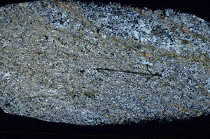 Cross Polarized, S88769