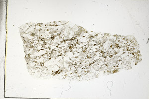 Plane Polarized, S88770