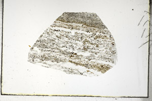 Plane Polarized, S88771