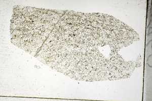 Plane Polarized, S88772