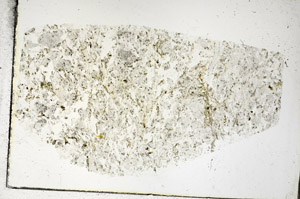Plane Polarized, S88773