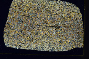 Cross Polarized, S88780