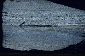 Cross Polarized, S88781