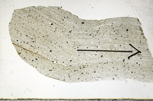 Plane Polarized, S88782