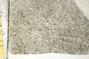 Plane Polarized, S88784
