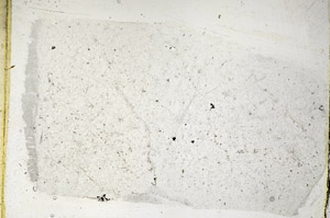 Plane Polarized, S88789
