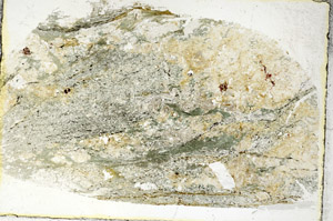 Plane Polarized, S88790