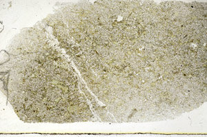 Plane Polarized, S88791