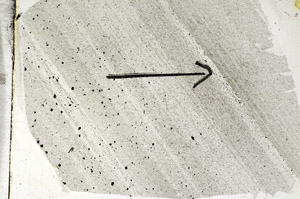 Plane Polarized, S88792