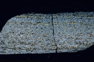 Cross Polarized, S88794