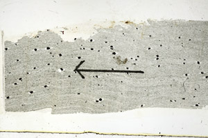 Plane Polarized, S88796