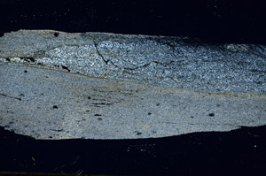 Cross Polarized, S88803