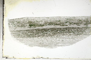 Plane Polarized, S88808
