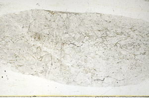 Plane Polarized, S88813