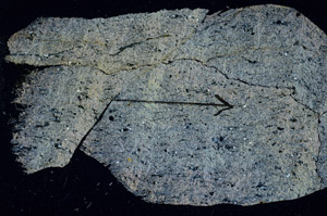 Cross Polarized, S88814