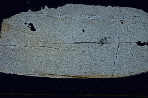 Cross Polarized, S88817