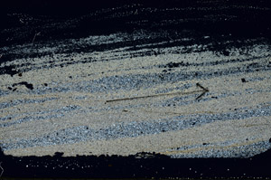 Cross Polarized, S88818
