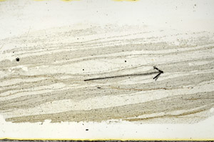 Plane Polarized, S88818