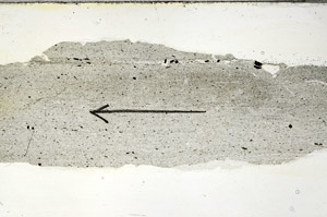 Plane Polarized, S88821