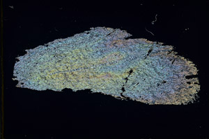 Cross Polarized, S88823