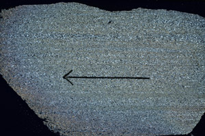 Cross Polarized, S88827