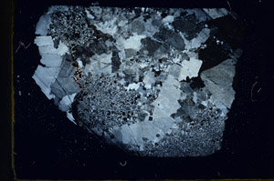 Cross Polarized, S88828