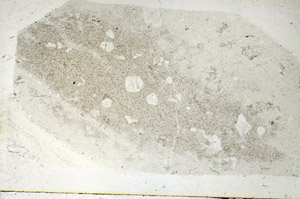 Plane Polarized, S88829