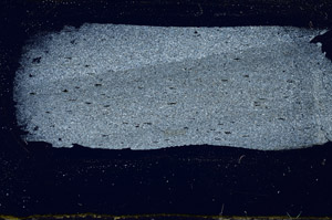 Cross Polarized, S88830