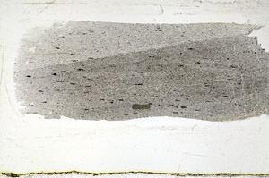 Plane Polarized, S88830
