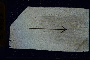 Cross Polarized, S88831