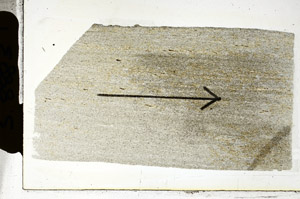 Plane Polarized, S88831