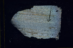 Cross Polarized, S88832