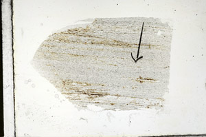 Plane Polarized, S88832