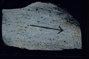 Cross Polarized, S88833
