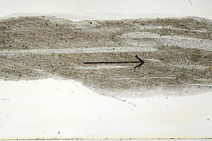 Plane Polarized, S88835