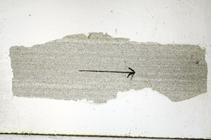 Plane Polarized, S88837